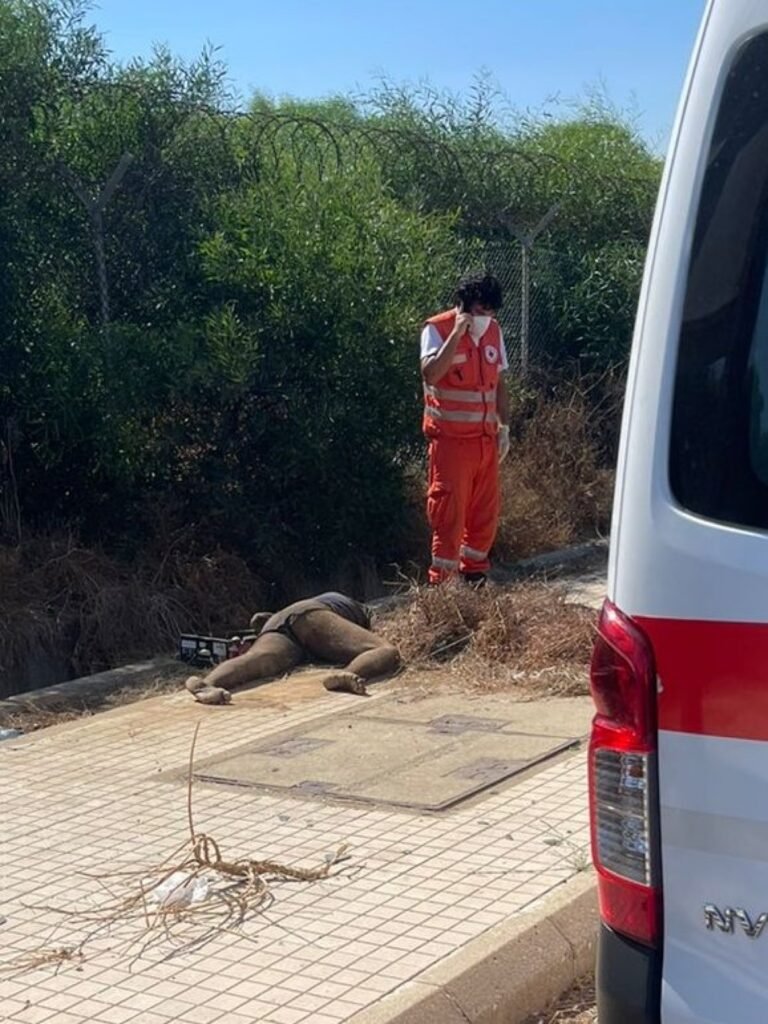 العثور على جثّة رجل على قارعة الطّريق في خلدة