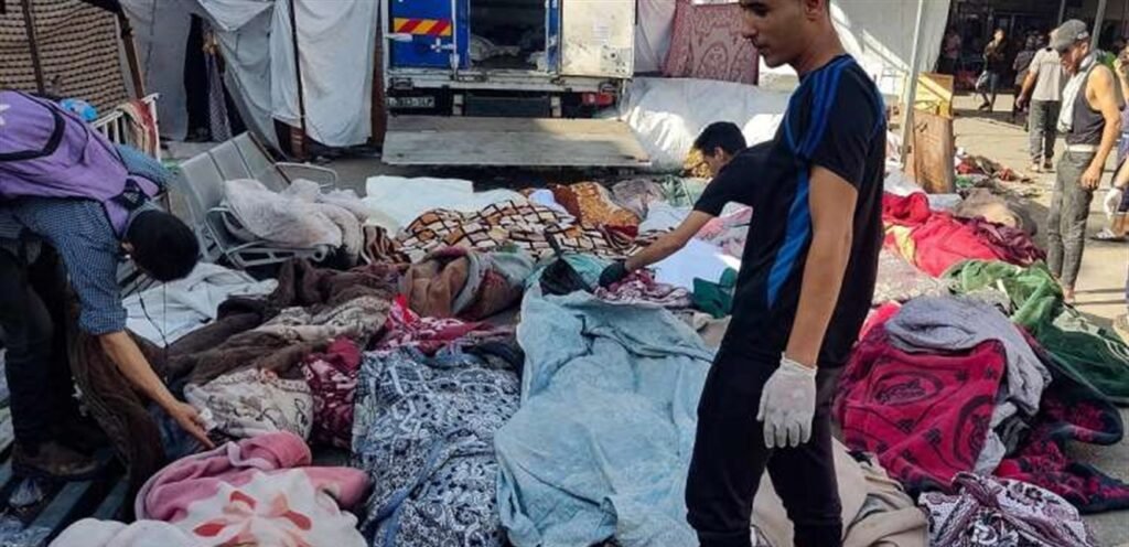 بالفيديو – فاجعة في غزة.. جثث الشهداء المتكدّسة تنهشها الكلاب المسعورة!