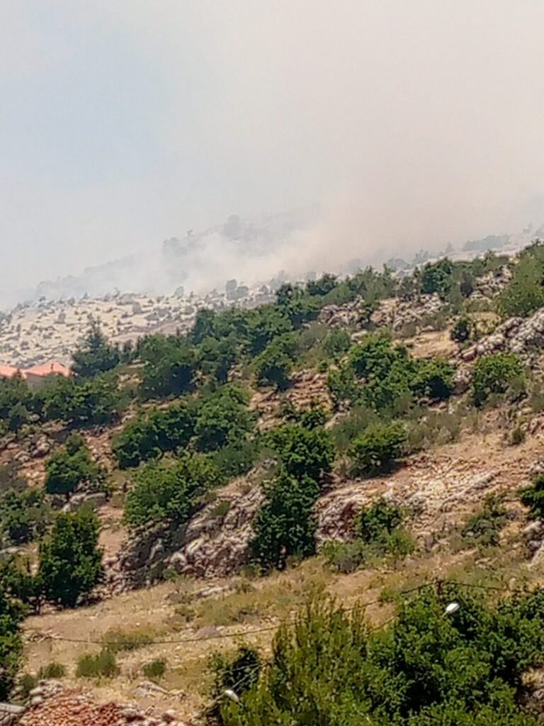 بالفيديو…أهالي شبعا حتى الان يكافحون بأجسادهم و ارواحهم لإطفاء الحرائق المندلعة