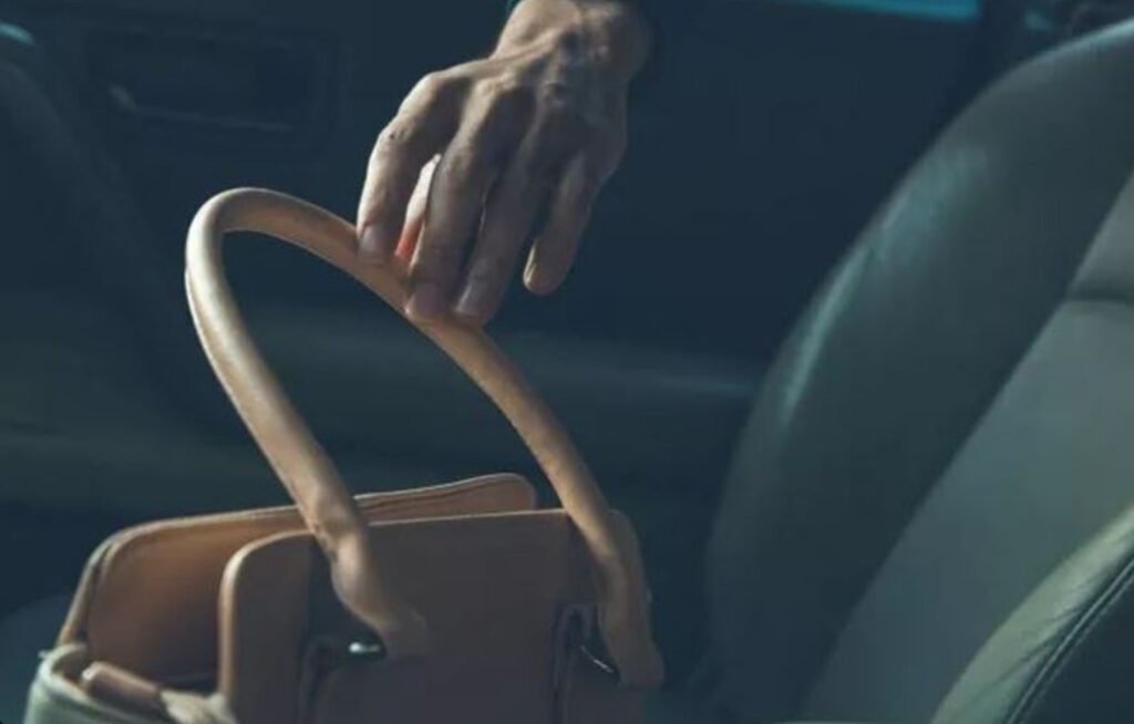 حاولا سلبها في السيارة… إليكم ما فعلته بهما!