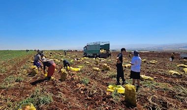 كارثة على القطاعات الإنتاجية في البقاع!