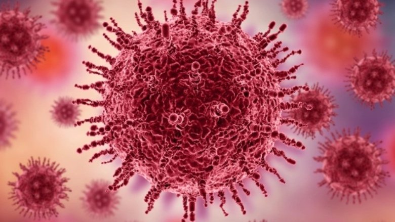 فيروس يتسلّل… وإنذار عاجل!
