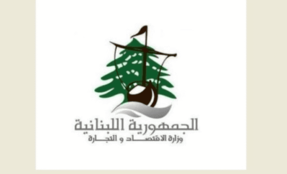 مولدات تحت المجهر في طرابلس والميناء