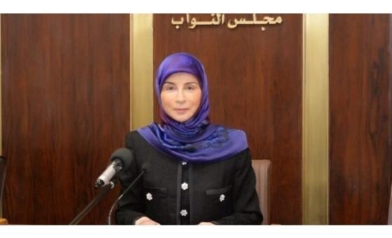 عز الدين: سرعة استجابة الحكومة لإيواء النازحين لم تكن على المستوى المطلوب!