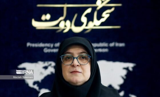 متحدثة الحكومة الإيرانية: عراقجي عرض المقترح الأميركي على بزشكيان