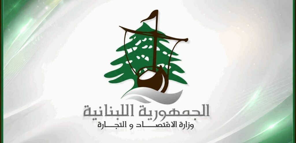 في الجنوب.. محاضر ضبط بحق مخالفين لتسعيرة المولدات