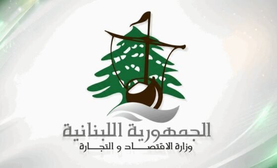 في الجنوب.. محاضر ضبط بحق مخالفين لتسعيرة المولدات