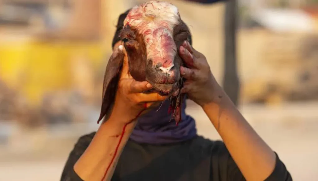 10 سنوات سجناً لقصّاب في النجف... باع لحوم خنزير فاسدة