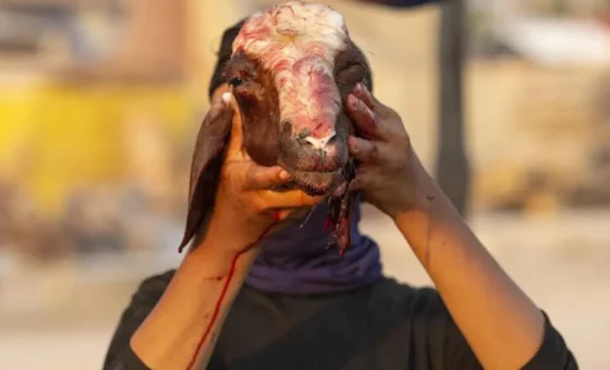 10 سنوات سجناً لقصّاب… باع لحوم خنزير فاسدة!