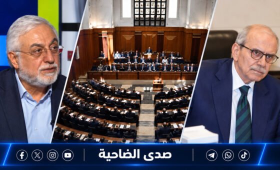 جهاد الصمد لسلام: ألا ترى أن السراي تحولت إلى مركز يشبه اللجان الوزارية؟