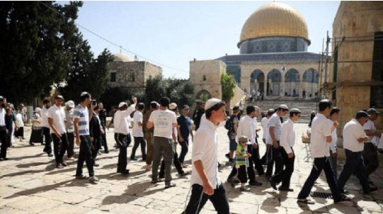 حماس: اقتحام آلاف المستوطنين، برفقة المجرم بن غفير، للمسجد الإبراهيمي يستوجب نفير الأمة جمعاء