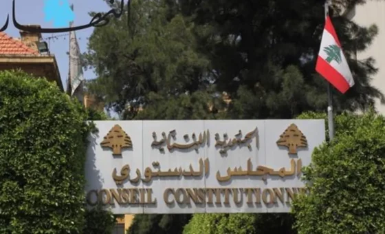 هل سيرد المجلس الدستوري الطعن بقانون العفو العام؟