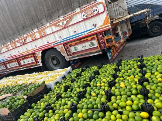 الجمارك ضبطت كمية من الحامض السوري المهرب