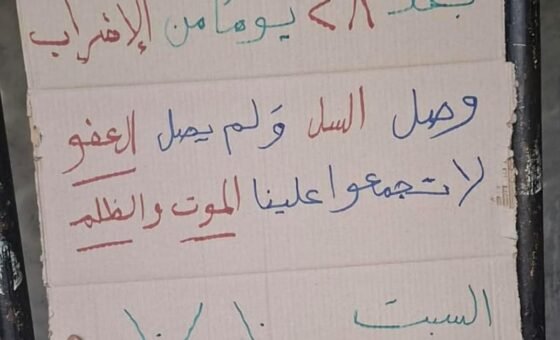 28 يوماً من الإضراب: السلّ في سجن رومية؟