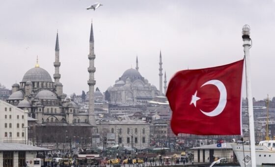 أردوغان يؤكد لترامب استعداد تركيا لدعم جهود حل النزاع الأوكراني
