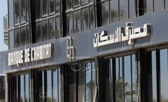 القرض السكني يدخل عصر الذكاء الاصطناعي… “DINA” تصل قريبًا