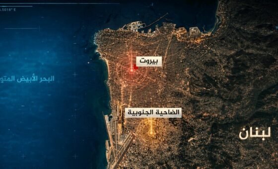 ماذا تشهد عقارات الضاحية؟