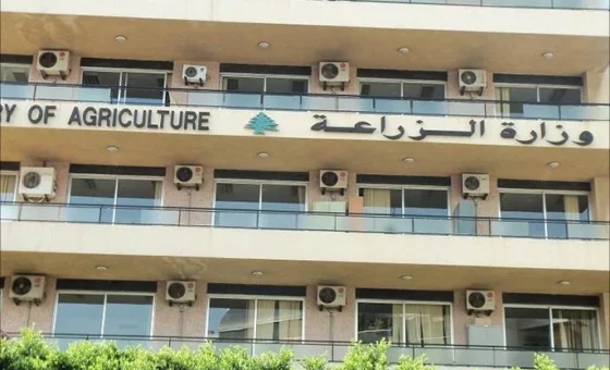 خطوة جديدة لضبط الصادرات الزراعية… وزارة الزراعة تفتح باب الاعتماد