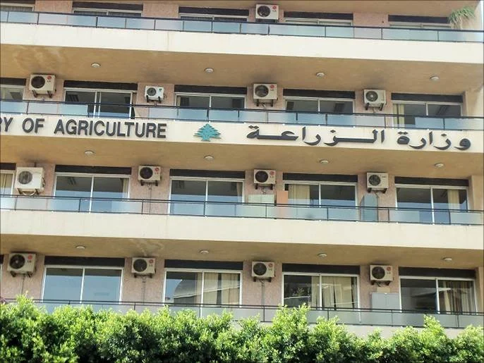 لا توجد صورة حالية مرفقة بالخبر.