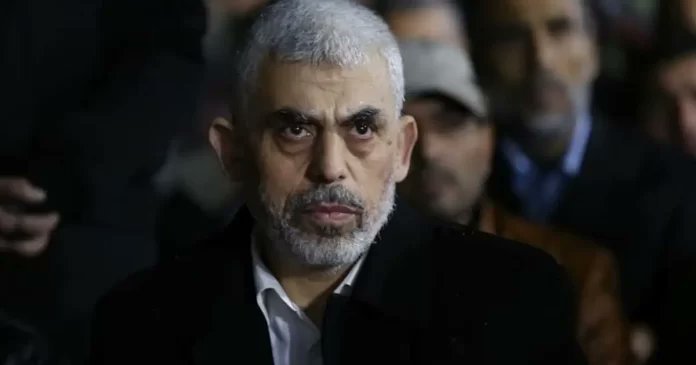 لا توجد صورة حالية مرفقة بالمادة، ويُقترح وصف الصورة عند توفيرها.